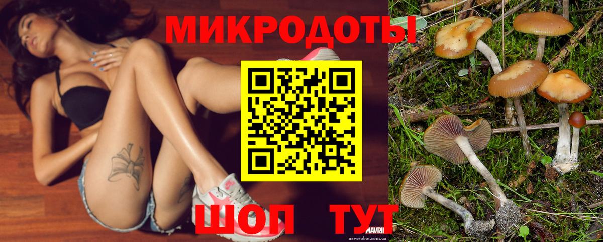 Галлюциногенные грибы MAGIC MUSHROOMS Краснознаменск