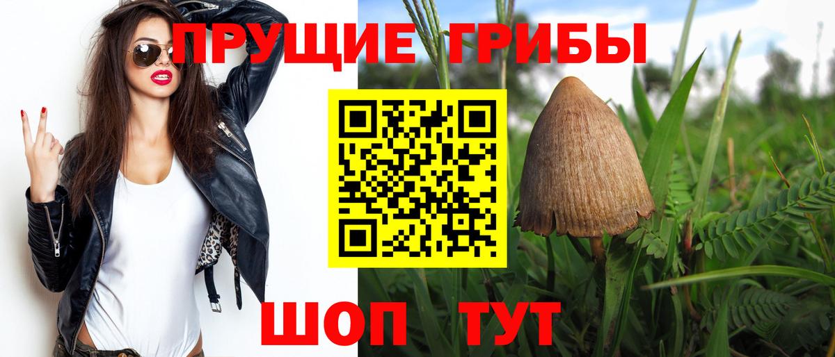 Галлюциногенные грибы MAGIC MUSHROOMS  где купить наркоту  Краснознаменск  Вход с VPN  Галлюциногенные грибы мухоморы 